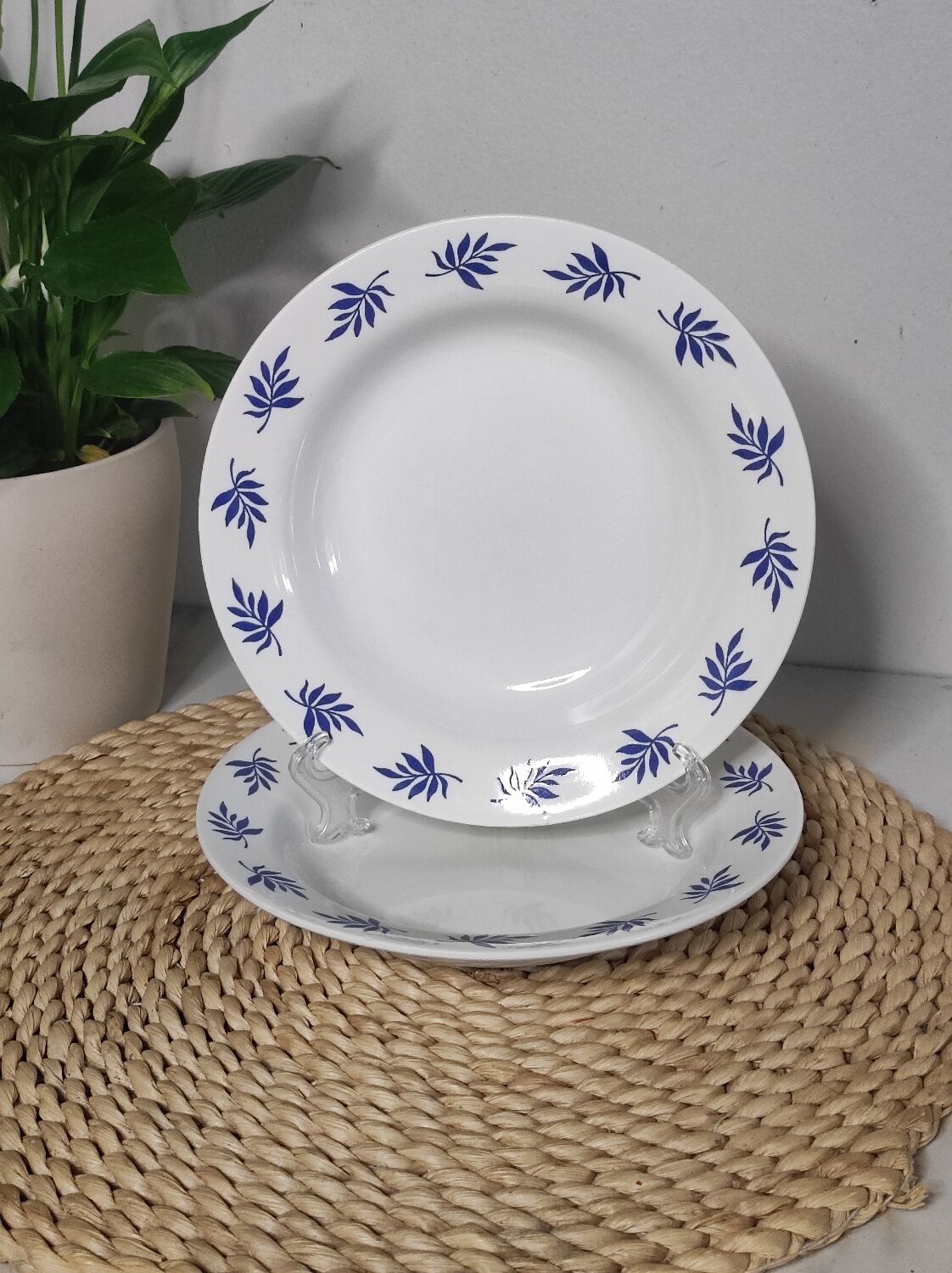 Blue leaf deep plates