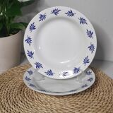 Blue leaf deep plates