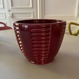 Blanche Letalle x Saint-Clément planter