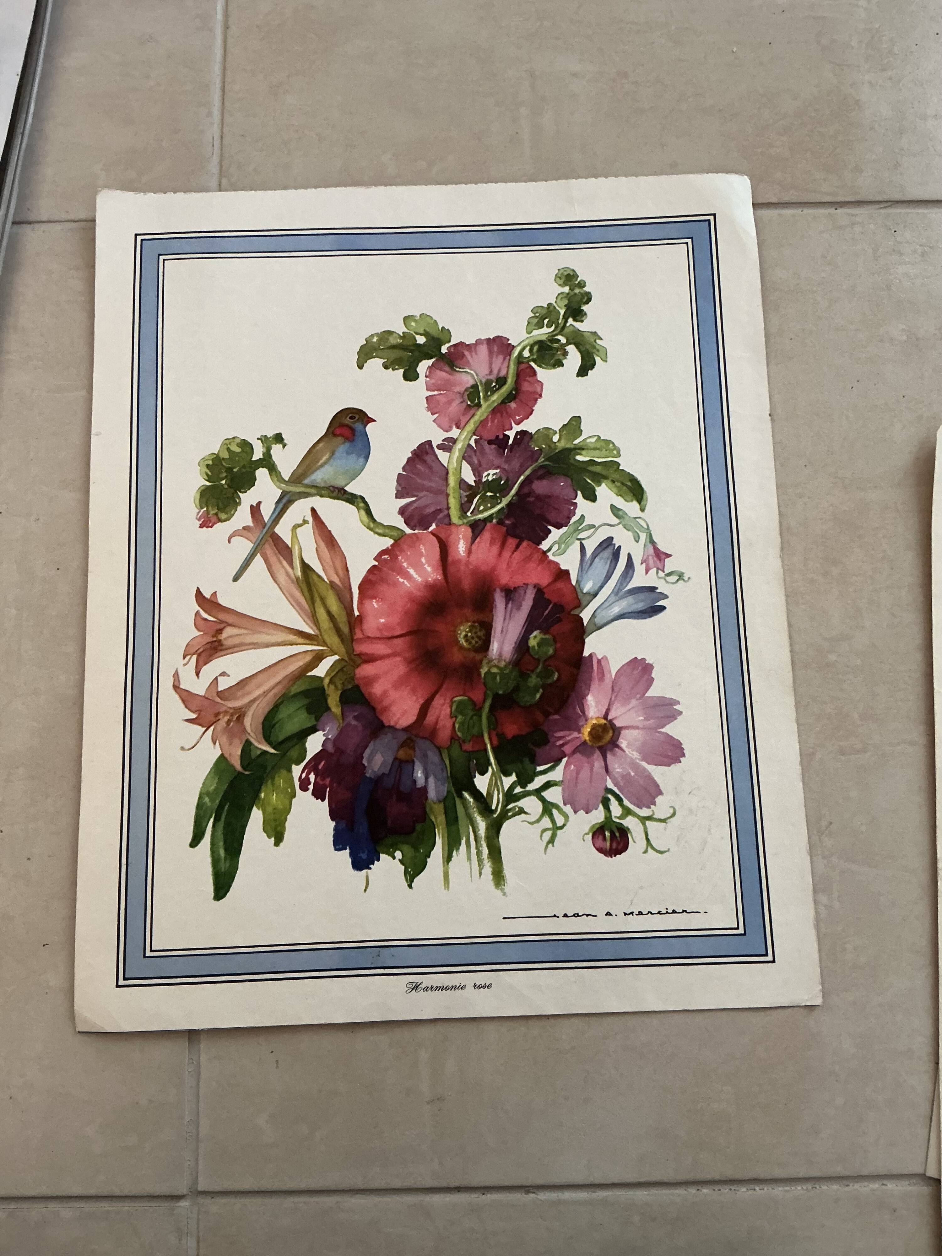Illustration florale ancienne.