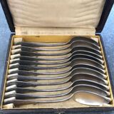 Series of 12 teaspoons in silver metal