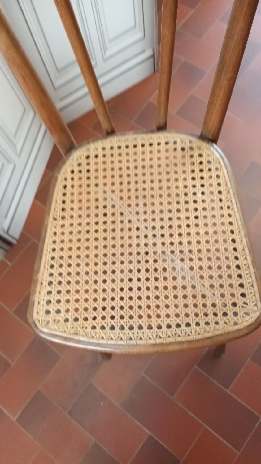 Curved wood bistro chair