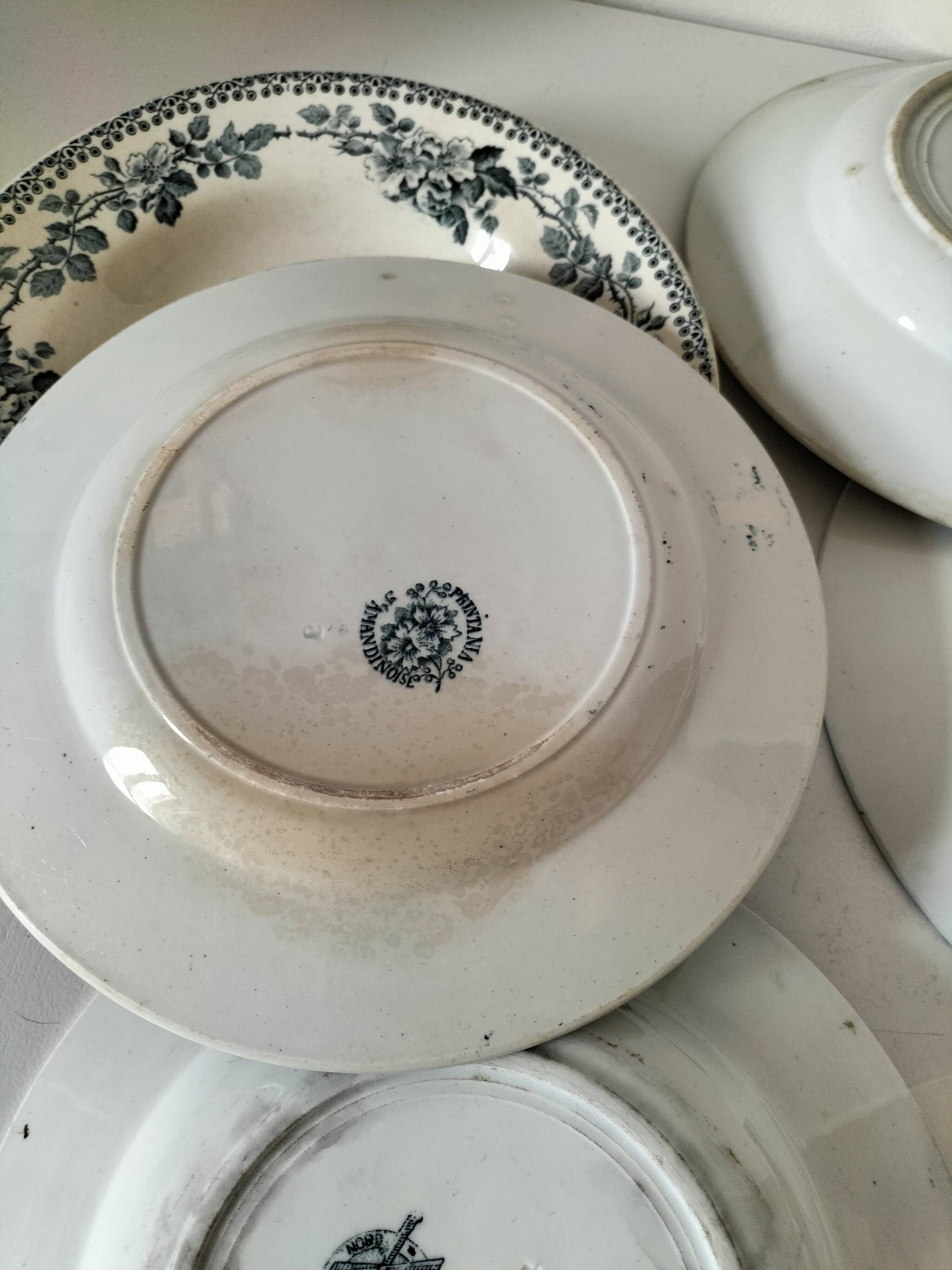 Set of 7 ironstone plates with floral friezes from the late 19th to early 20th century.