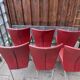 6 x Montis Spica stoelen