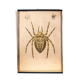 Poster "garden spider" lithograph Karl Jansky Böhmen 1897