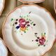6 Plates and Dish with painted flowers Manufacture de Longchamp Model Monaco 1960s