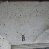 Wall mirror  bamboo style 91x70cm