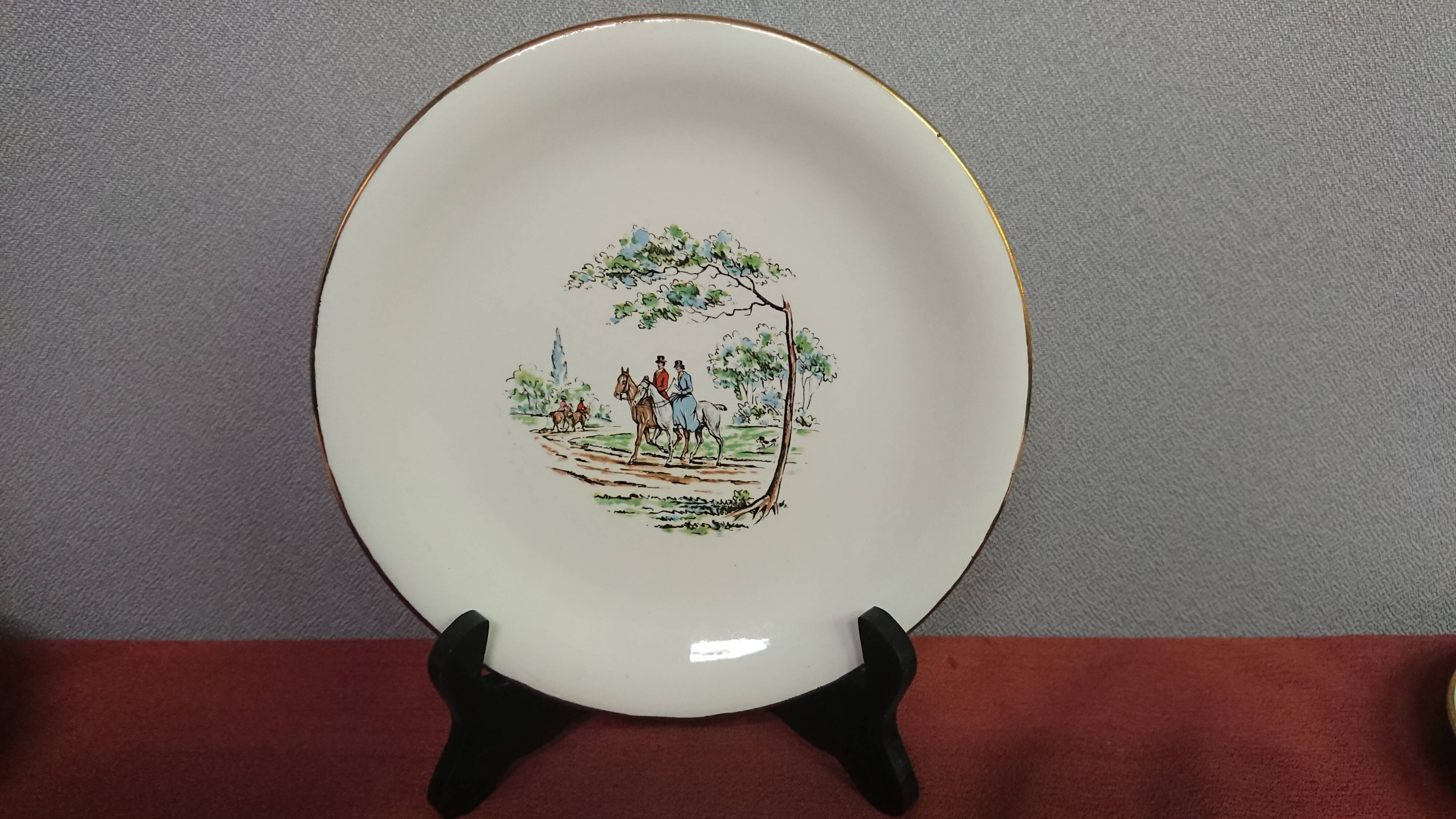 Lot of 9 porcelain plates the Amandine