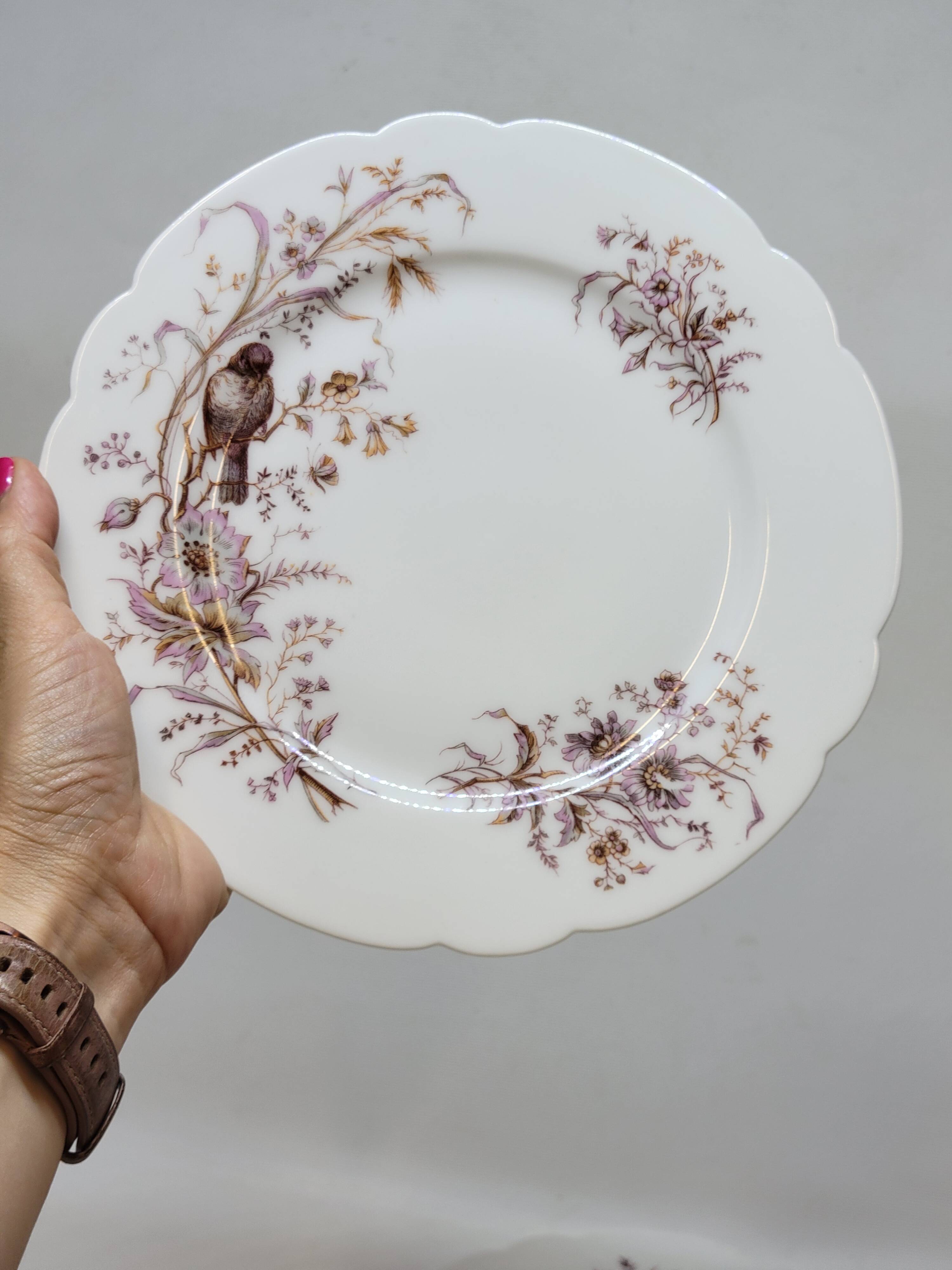 6 Superb Antique 19th Century White Porcelain Plates with Bird Decor