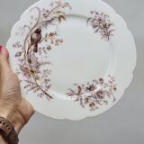 6 Superbes Assiettes Anciennes XIXème En Porcelaine Blanche Décor Oiseaux