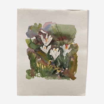 Watercolor with crocuses