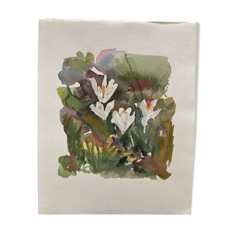 Watercolor with crocuses