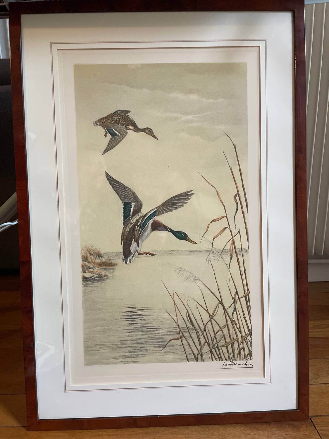 Antique print by Léon Danchin – Mallard ducks – Period framing