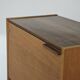 Secretary / Two-tone desk Frantisek Mezulanik for Up Zavody 1960
