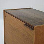 Secretary / Two-tone desk Frantisek Mezulanik for Up Zavody 1960