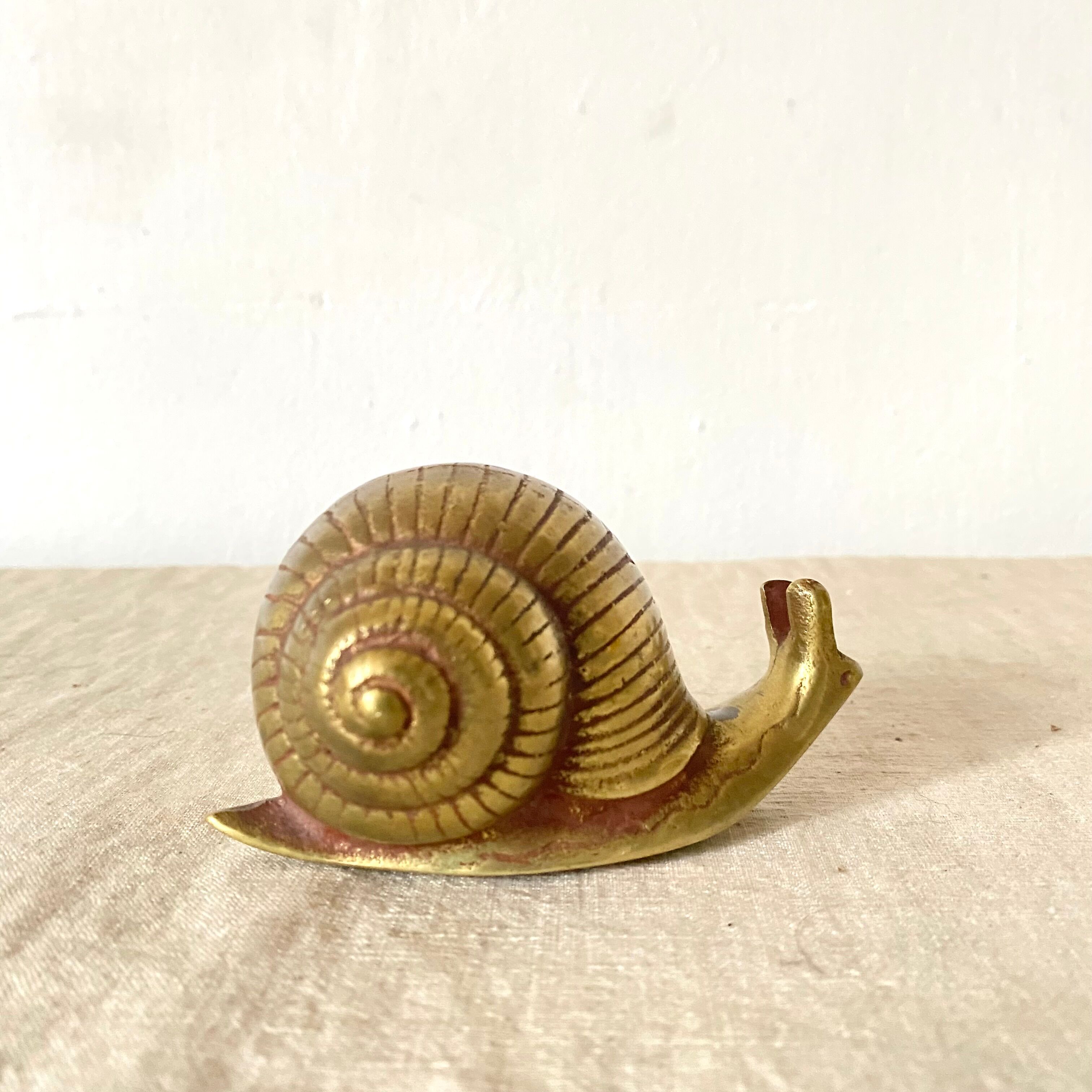 Golden brass snail