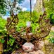 Bronze and porcelain Art Nouveau chandelier