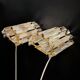 Pair of Venini wall lights 1980
