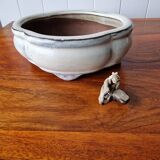Bonsai pot