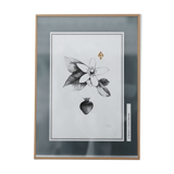 Tableau - " La fraise et la fleur d'oranger"