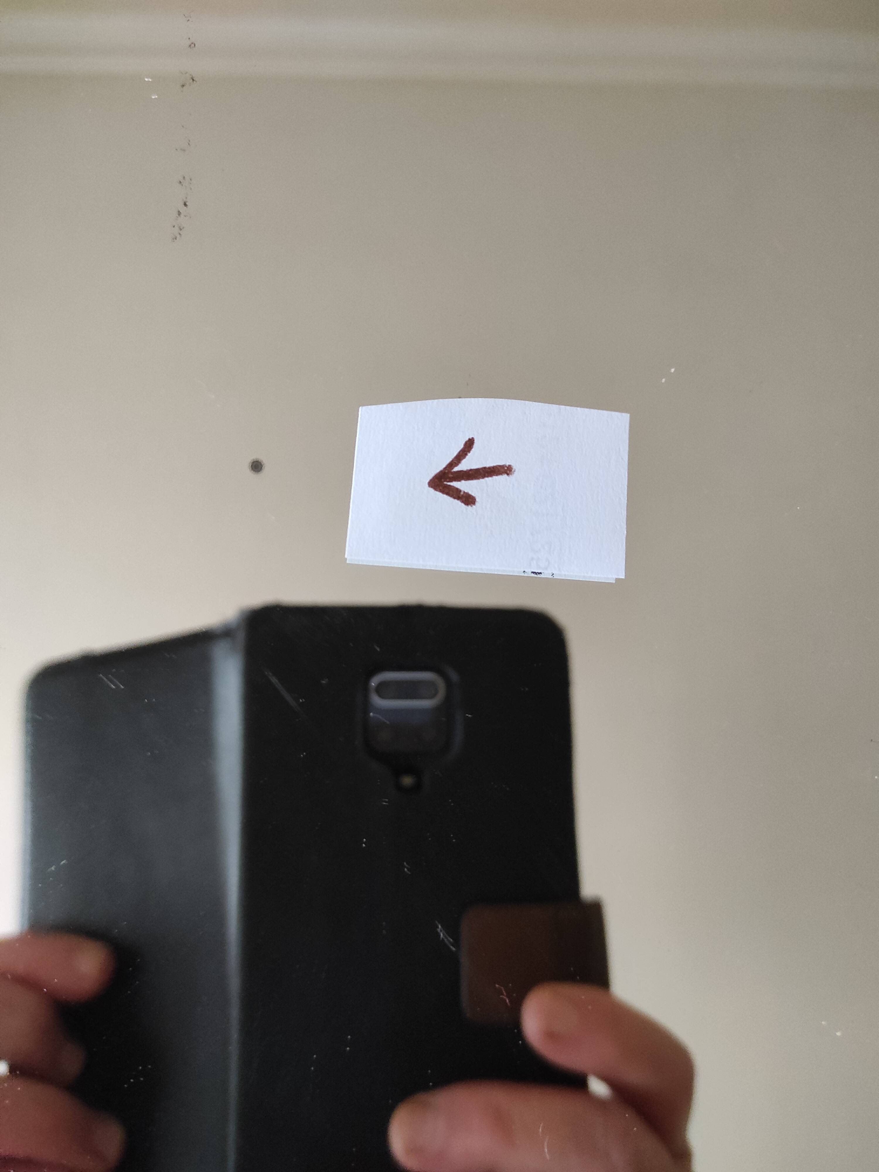 Antique mirror with roses