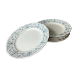 Ridgways 19th century English ironstone plates