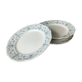 Assiettes terre de fer anglaises Ridgways XIX ème