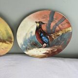 Set of decorative plates