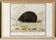 Small poster about the hedgehog, after an old engraving from 1610.