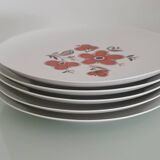 Set of 5 flat plates - Arzberg earthenware factory 1960/70
