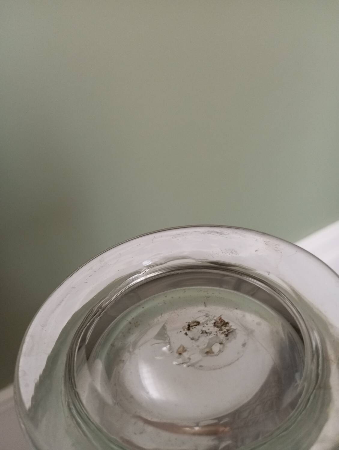 Blown glass wine carafe