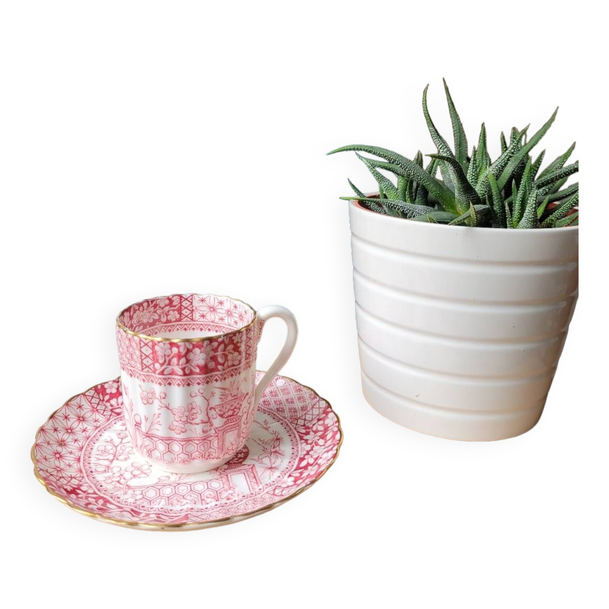 Fine porcelain coffee cup and saucer