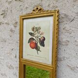 Petit miroir Trumeau ancien