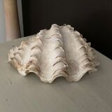 Trinket bowl shell