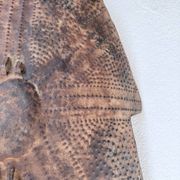 "Glagwa" shield embossed metal Cameroon 20th century