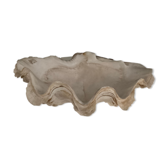 Trinket bowl shell