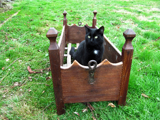 Berceau antique Français balançant 1900