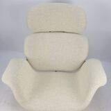 Big Tulip Chair by Pierre Paulin for Artifort, 1960s