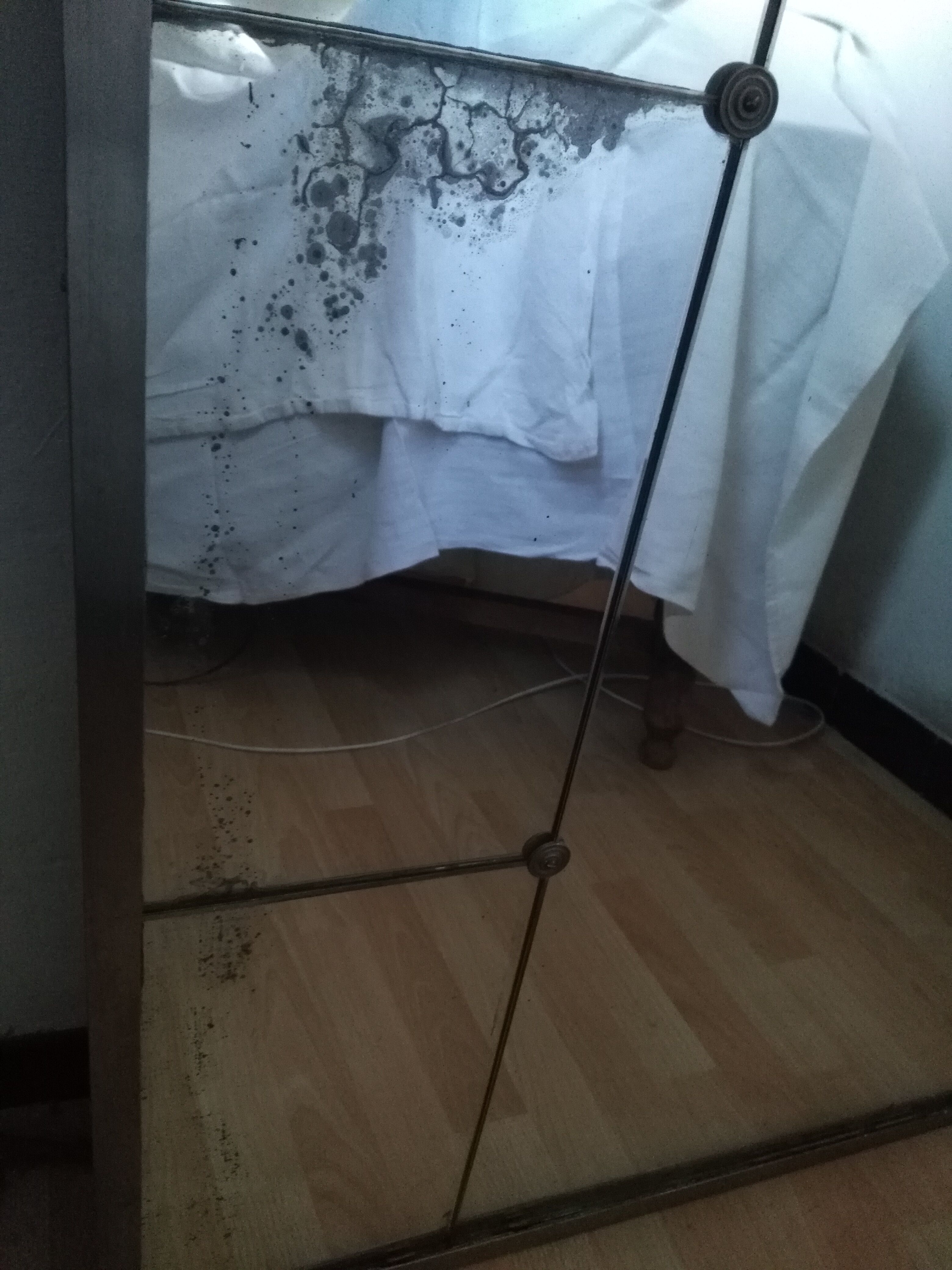 Mirror in the 20 / 30-110 x 138 cm