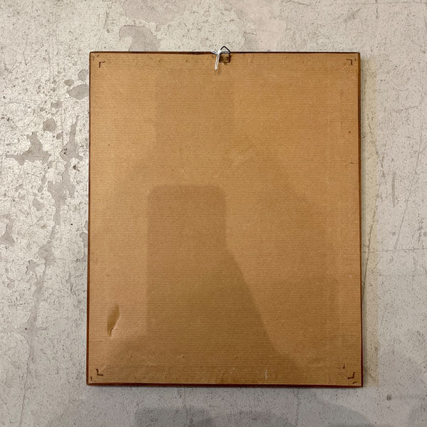 Framed engraving of botany, nineteenth