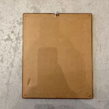 Framed engraving of botany, nineteenth