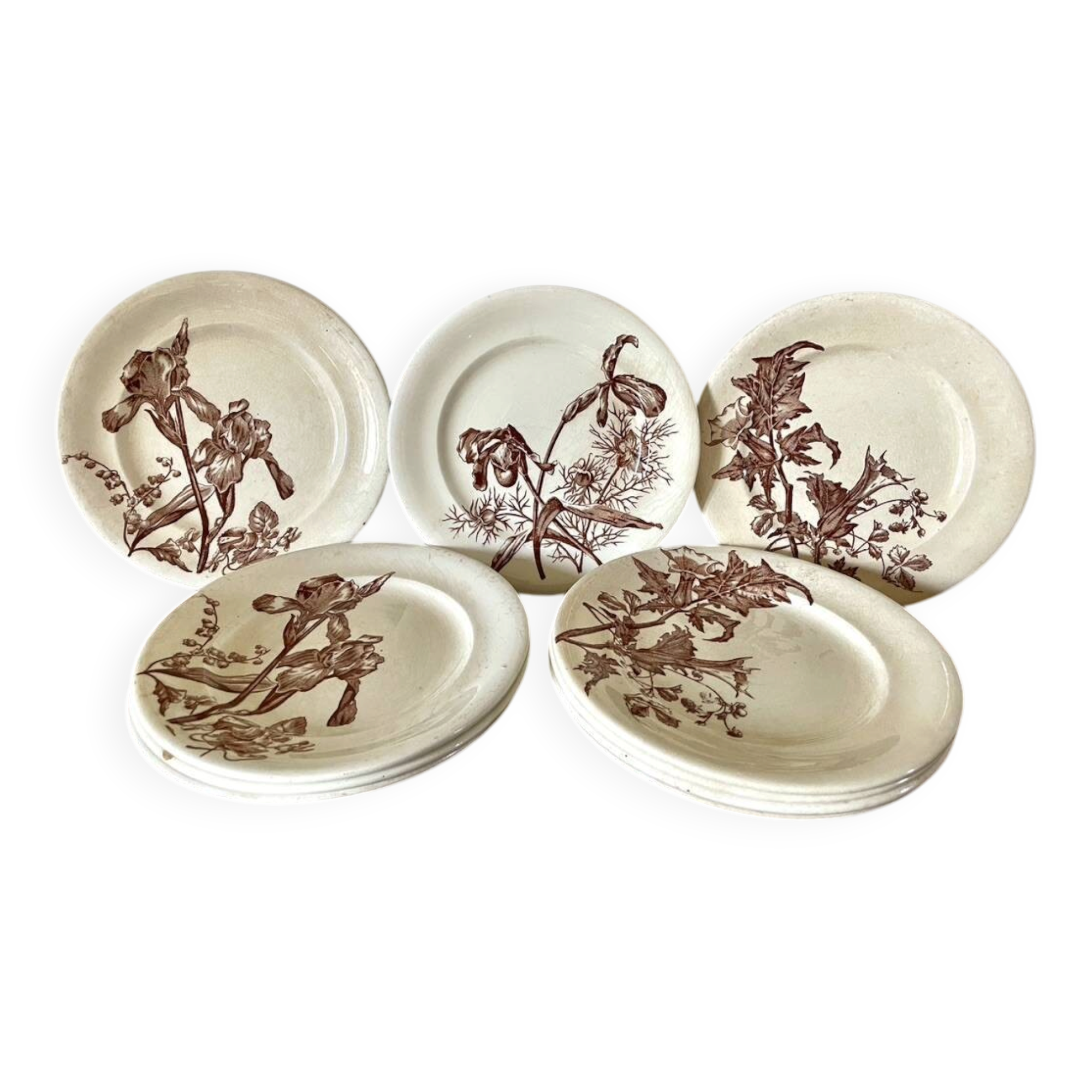 Set of 10 sepia plates, Terre de Fer flower pattern, 1900