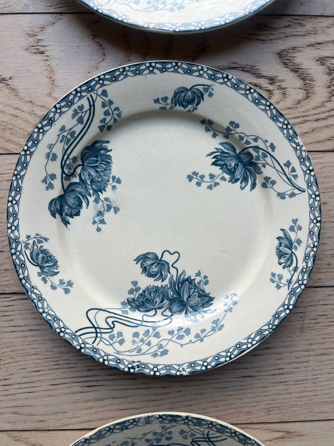 Royat Sarreguemines model flat plates