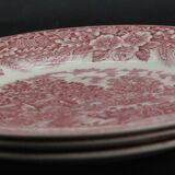 Set of 3 plates staffordshire broadhurst