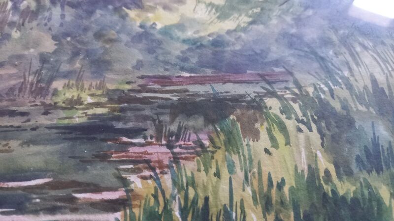 Old painting, auarelle undergrowth