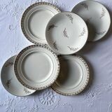 Assorted dessert plates