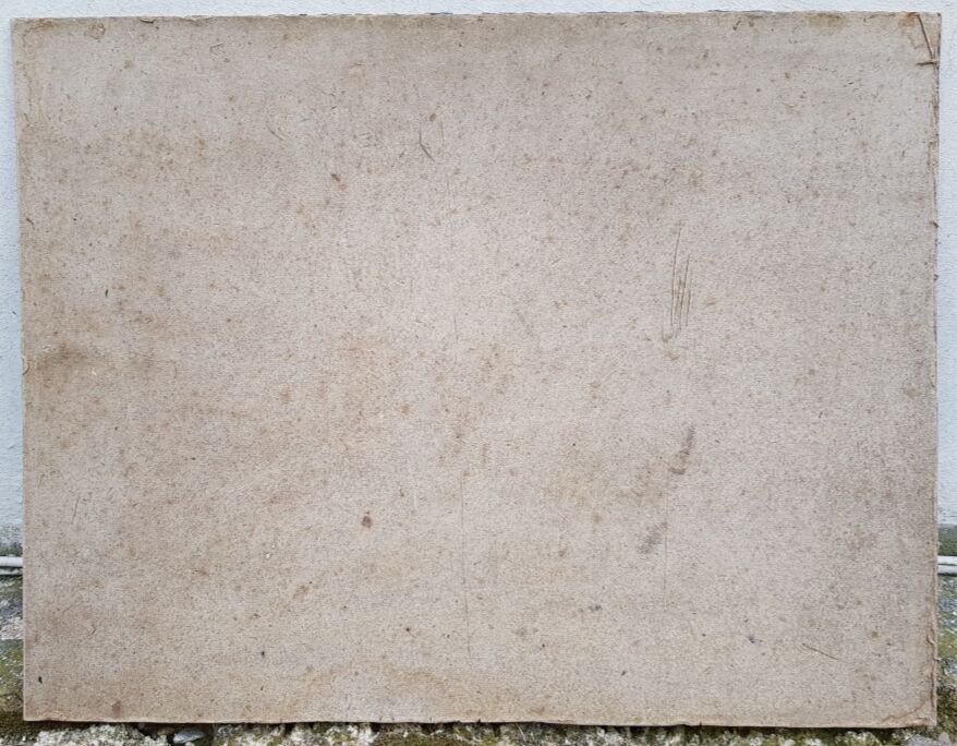 Pêcheurs de crevettes à cheval