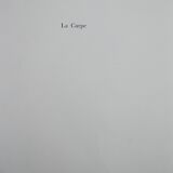 Bestiary la carpe board