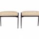 Italian-born footrest pair