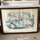Large framed antique zoological engraving "The Washerwoman"